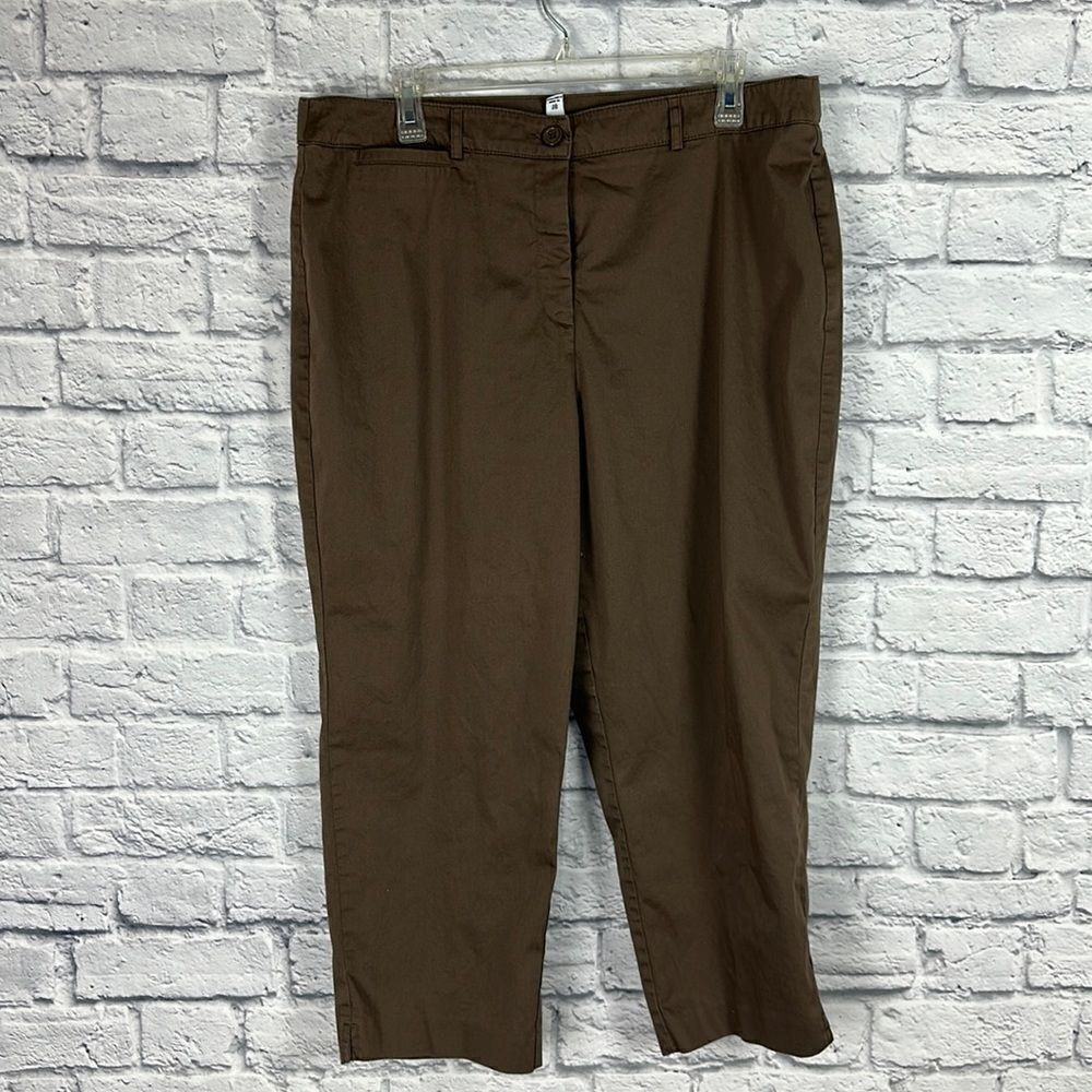 Counterparts Brown Cropped Pants Size 18